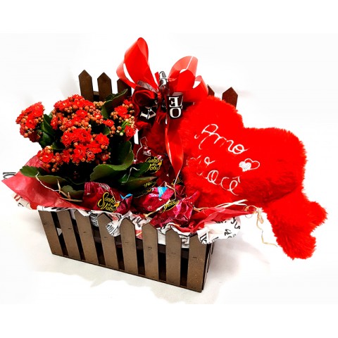 Cerquinha Sonho de Amor